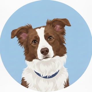 Illustrated dog looking curious